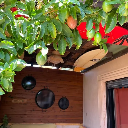 Casa Maracuja Appartement *